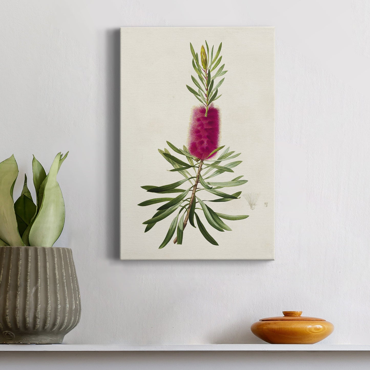 Pretty Pink Botanicals VII Premium Gallery Wrapped Canvas - Ready to Hang