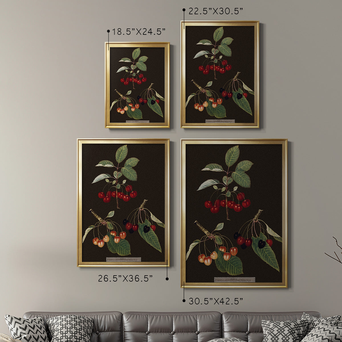 Brookshaw Cherries - Modern Framed Canvas Print