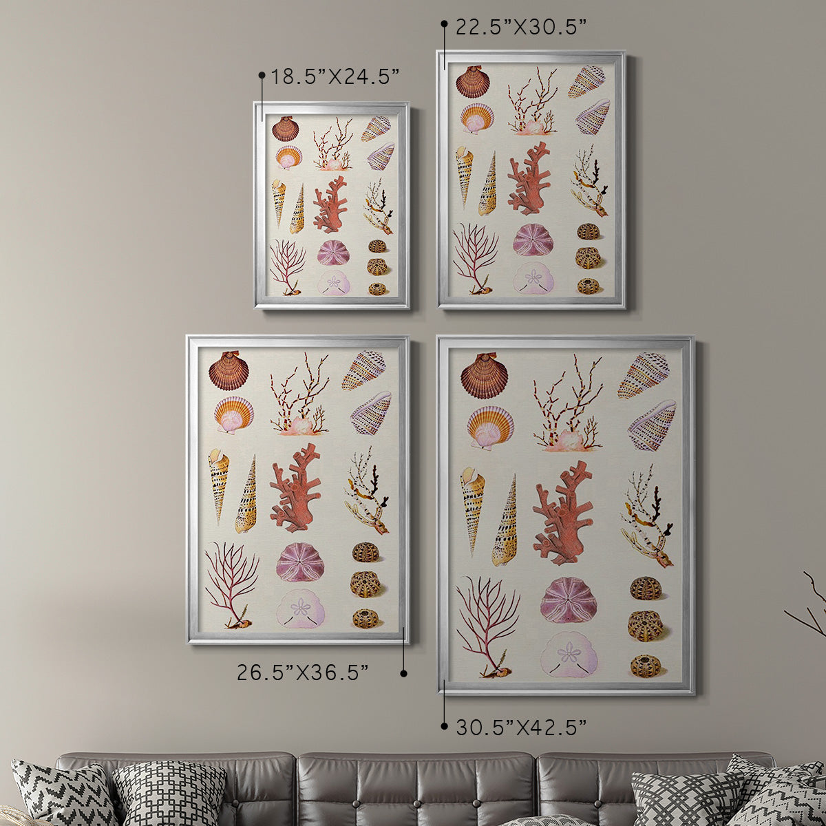 Coral & Shell Collage II -  Framed Canvas Print