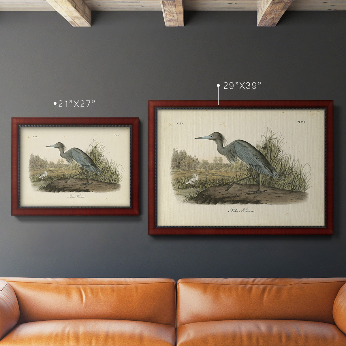 Audubons Blue Heron Premium Framed Canvas- Ready to Hang