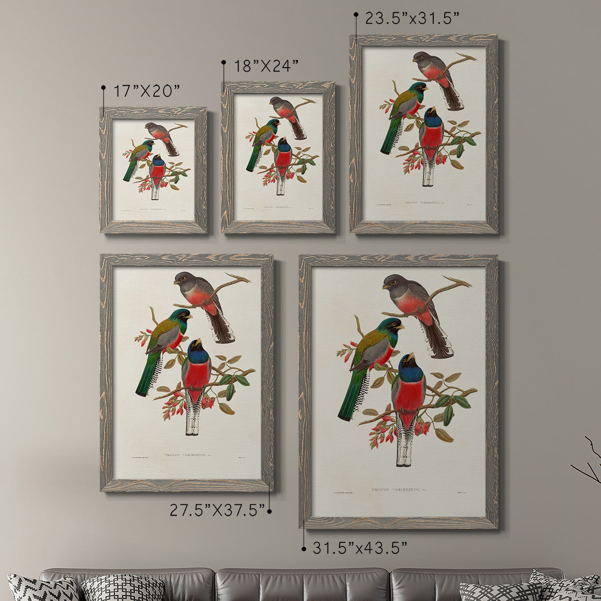 Elegant Trogons IX - Premium Framed Canvas 2 Piece Set - Ready to Hang