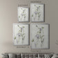 Late Summer Wildflowers II - Modern Framed Canvas Print