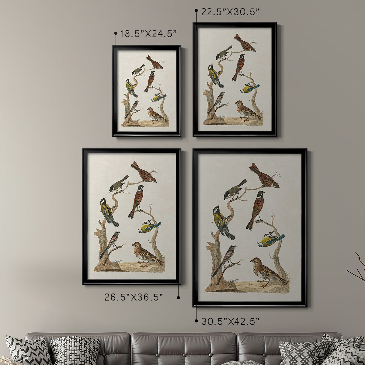 Antique Birds in Nature II - Modern Framed Canvas Print