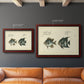 Bloch Antique Fish II Premium Framed Canvas- Ready to Hang