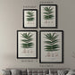 Botanical Society Ferns XII - Modern Framed Canvas Print