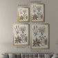 Sepia Botanical Journal VII - Modern Framed Canvas Print