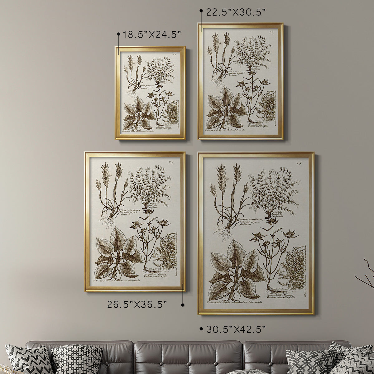Sepia Botanical Journal VII - Modern Framed Canvas Print