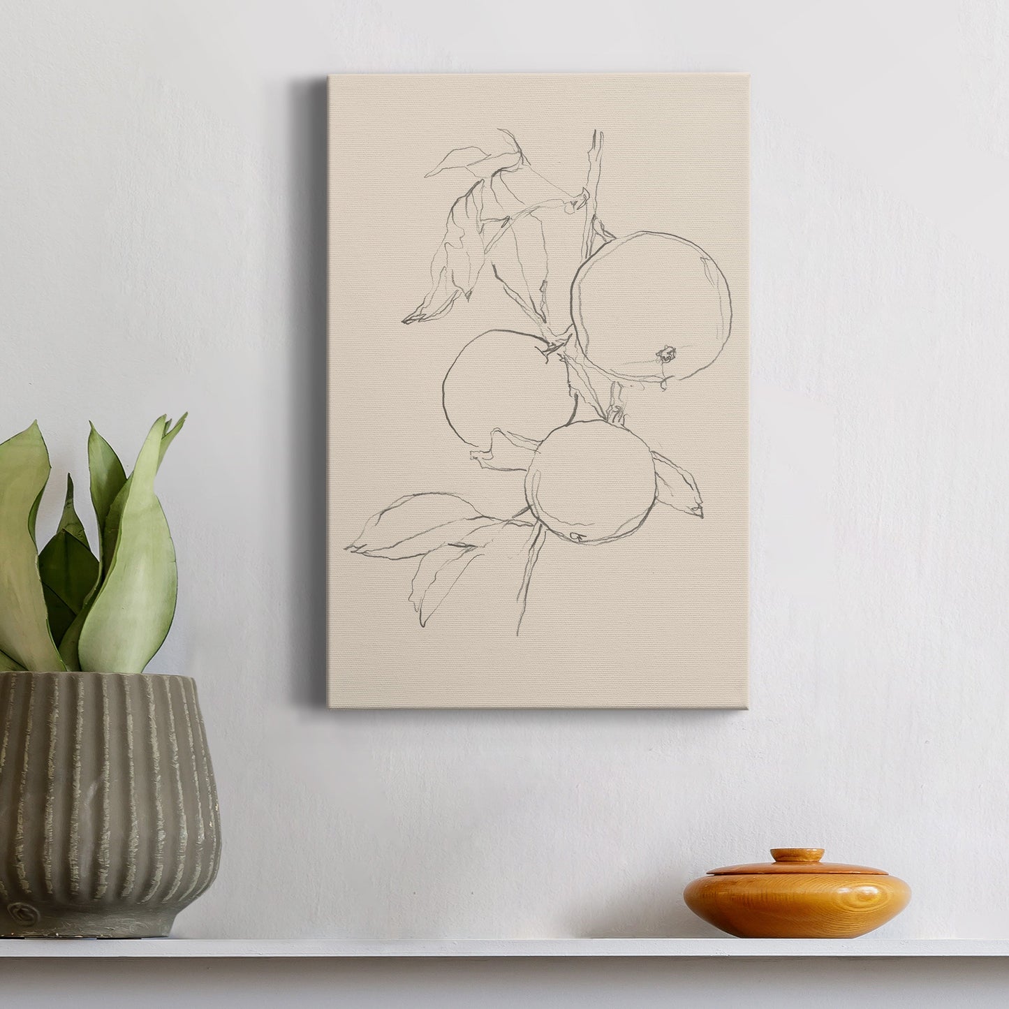 Fruit Contour Study I Premium Gallery Wrapped Canvas - Ready to Hang