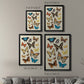 Collected Flutter II - Modern Framed Canvas Print