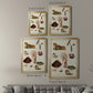 Mushroom Species IX - Modern Framed Canvas Print