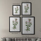 Rose Botanical III - Modern Framed Canvas Print