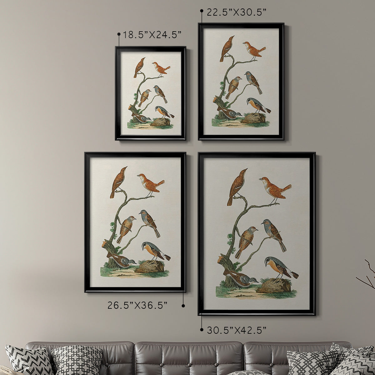 Antique Birds in Nature IV - Modern Framed Canvas Print