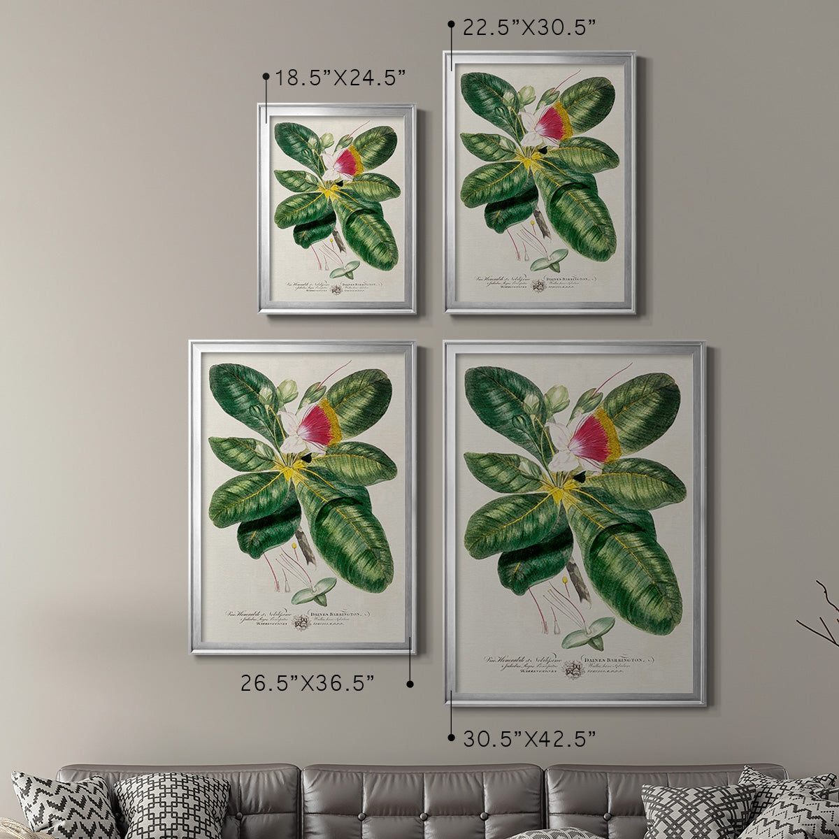 Imperial Tropical Botanical I - Modern Framed Canvas Print