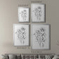 Wild Roses Sketch - Modern Framed Canvas Print