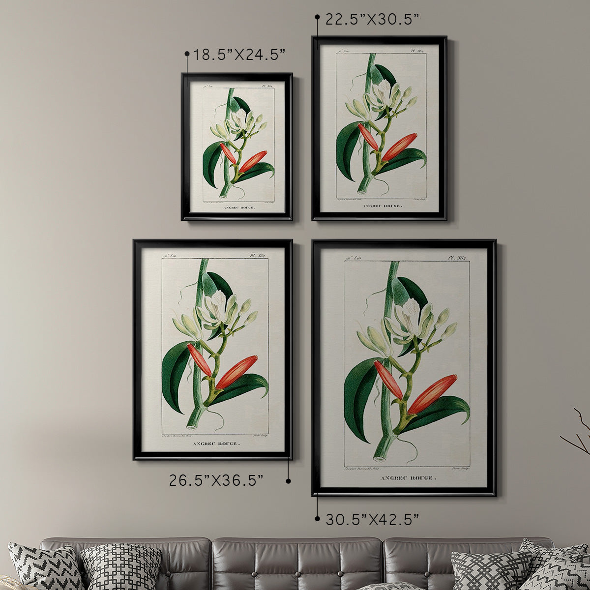 Turpin Tropical Botanicals IX - Modern Framed Canvas Print