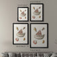 Pastel Knorr Shells VII - Modern Framed Canvas Print