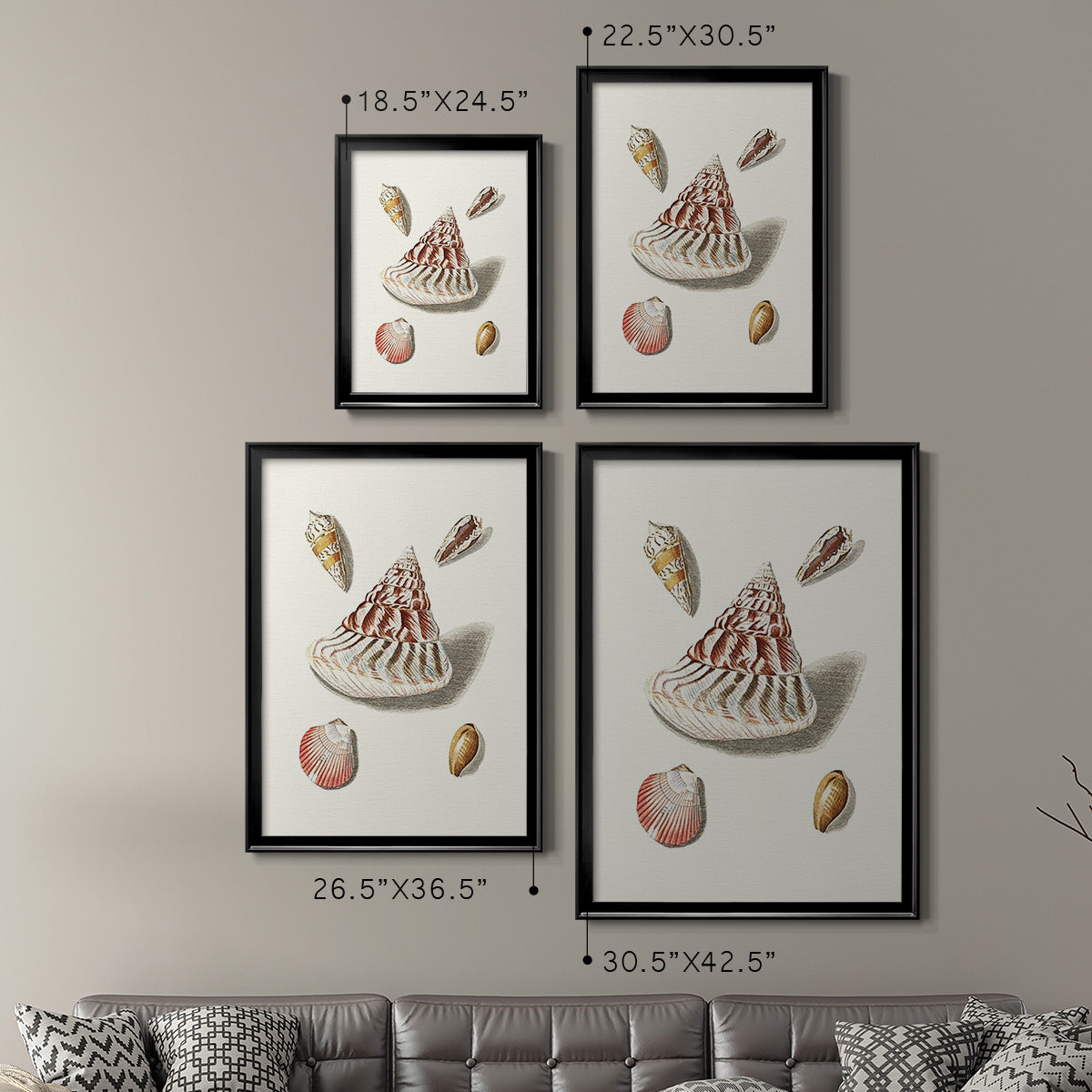 Pastel Knorr Shells VII - Modern Framed Canvas Print