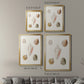 Pastel Knorr Shells IX - Modern Framed Canvas Print