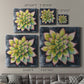 Succulent Rosette IV - Canvas Art Print