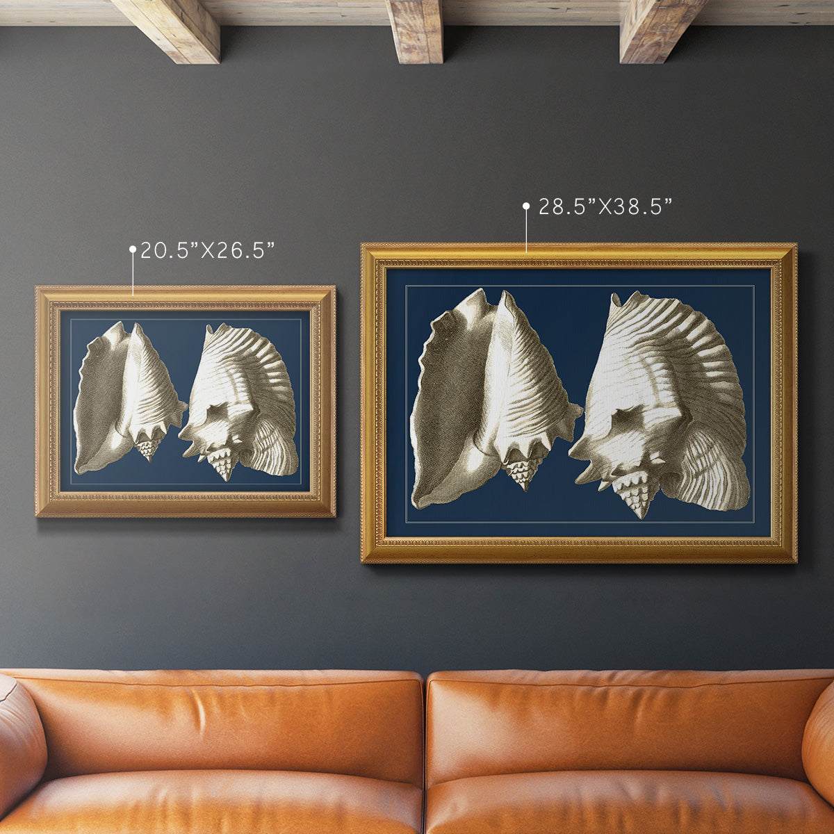 Conch Shells on Navy I Premium Framed Canvas- Ready to Hang