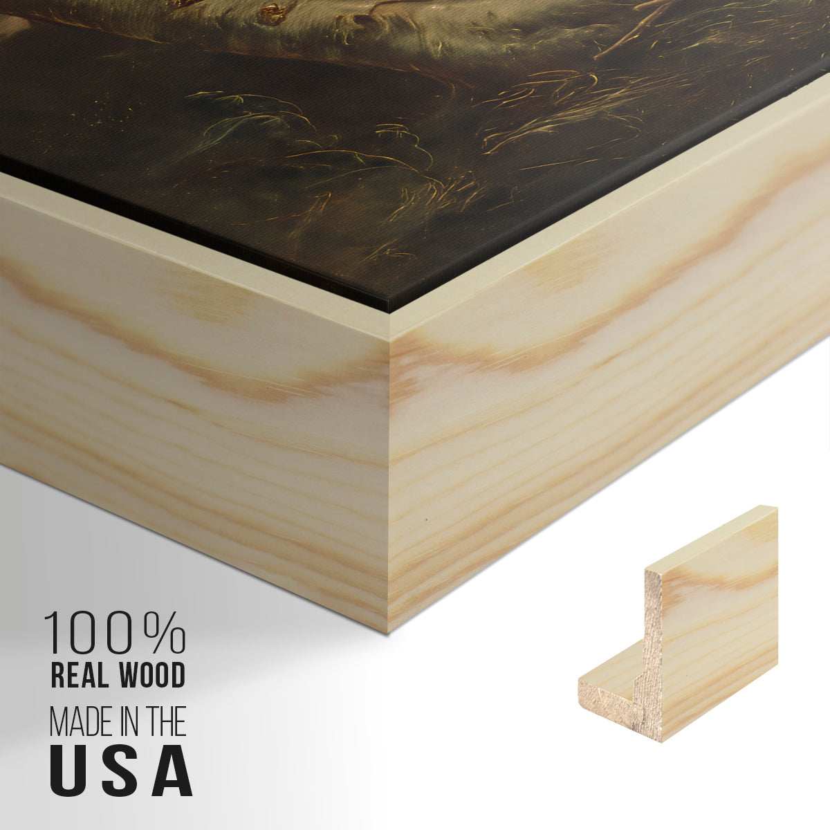 Tornado in an American Forest, 1835 - Floater Framed Canvas Print