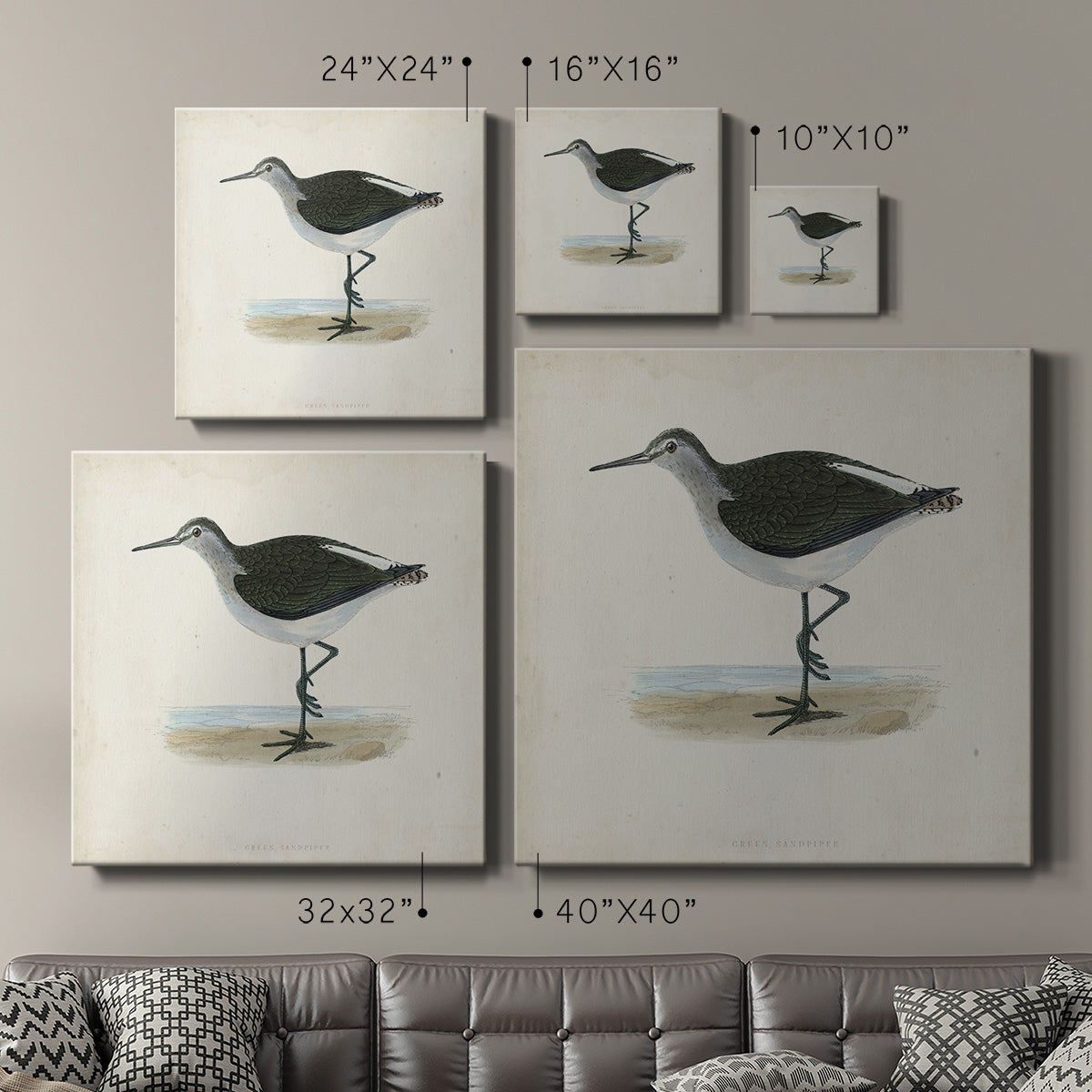 Morris Sandpipers VI - Canvas Art Print