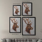 Stag Study II - Modern Framed Canvas Print