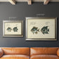 Bloch Antique Fish II Premium Framed Canvas- Ready to Hang