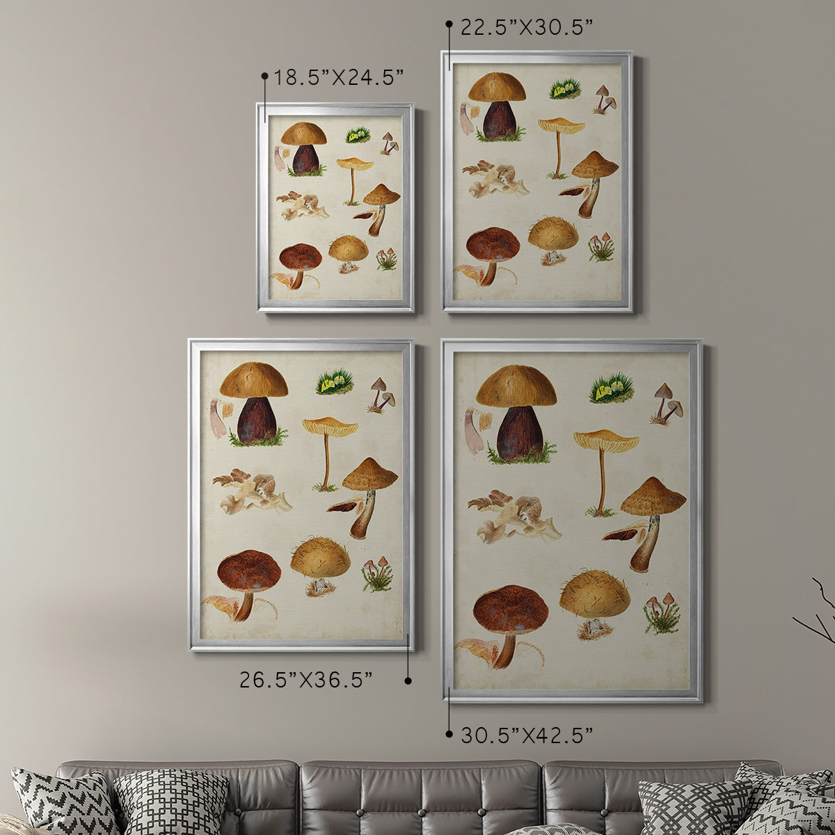 Mushroom Species II - Modern Framed Canvas Print