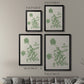 Vintage Garden II - Modern Framed Canvas Print