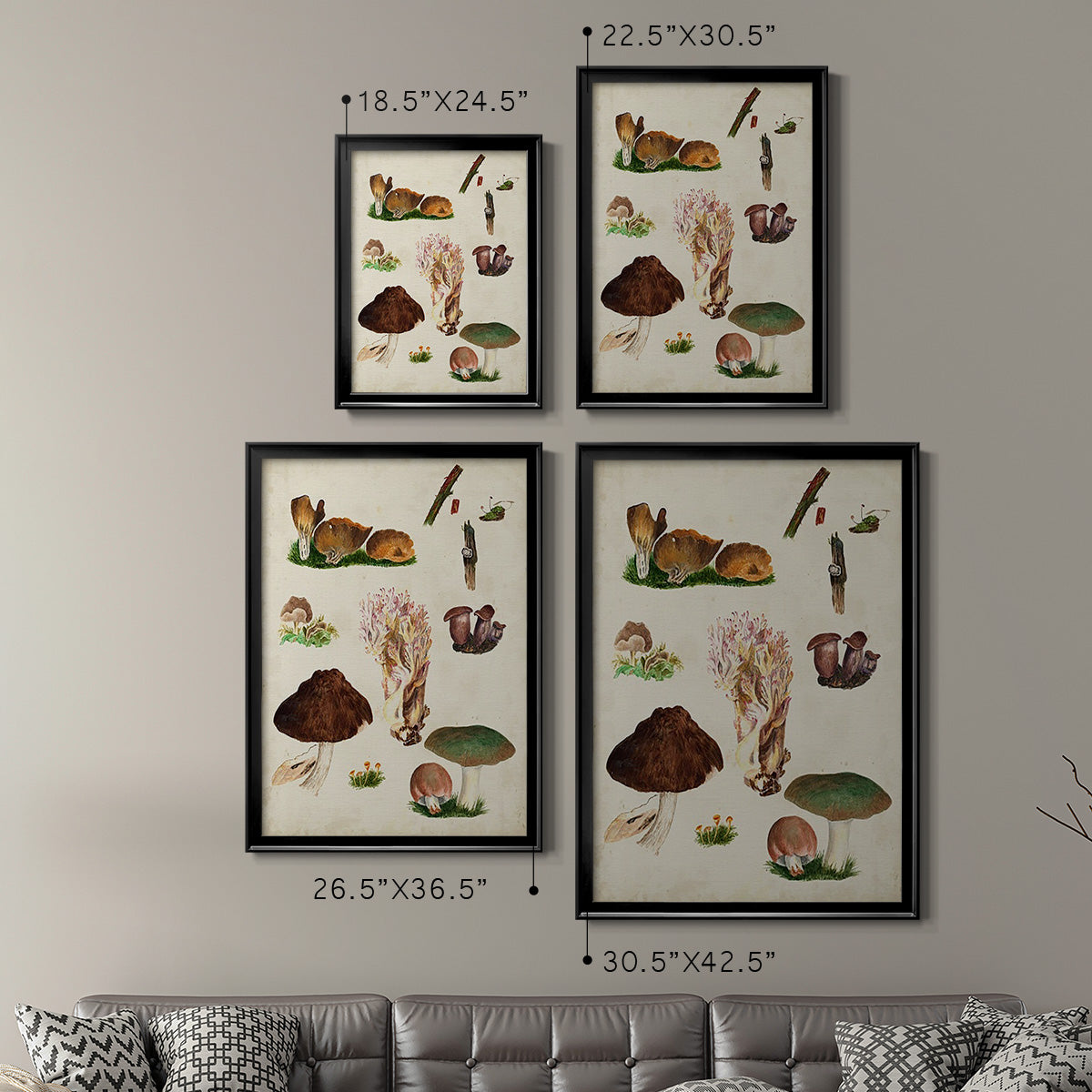 Mushroom Species IX - Modern Framed Canvas Print