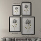 Botanical Beauty II - Modern Framed Canvas Print