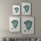 Antique Coastal Coral X - Modern Framed Canvas Print