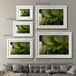 Arboreal Refuge - Barnwood Framed Art Print