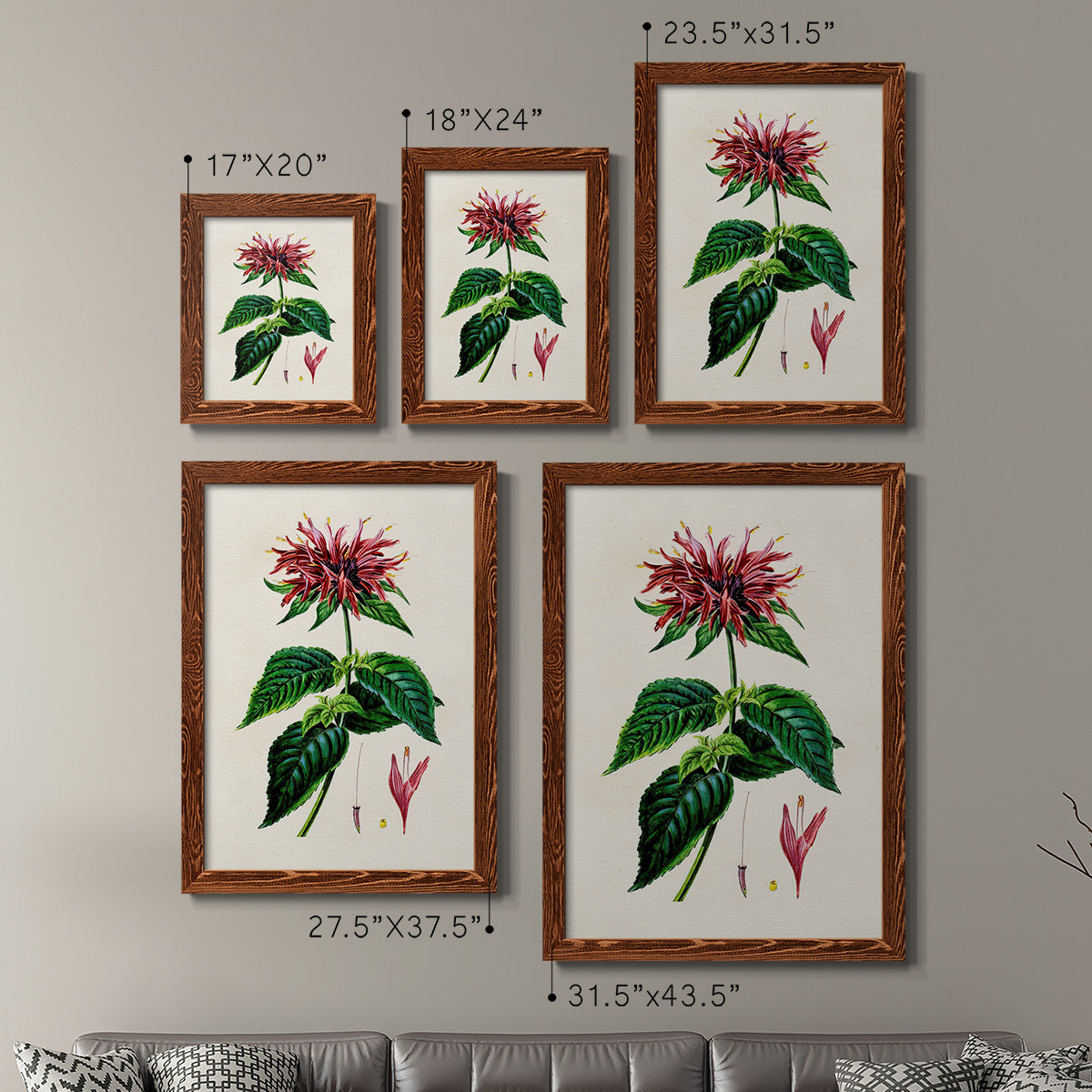 Size comparison chart for a set of two maple barnwood framed canvas prints.
