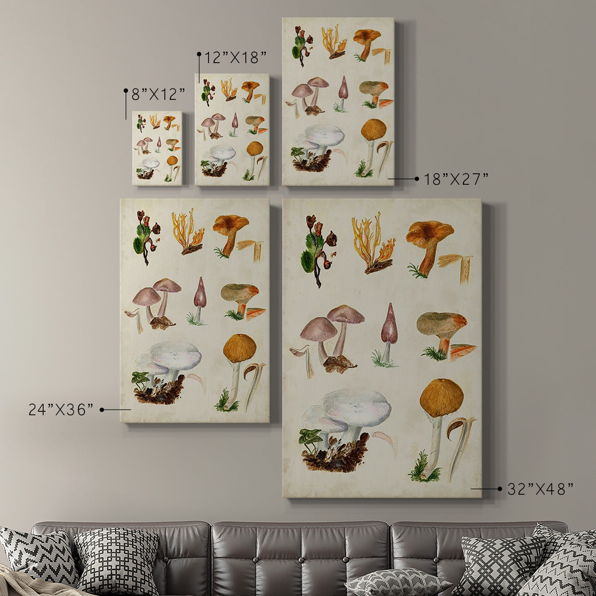 Mushroom Species VI - Canvas Art Print