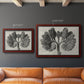 Blossfeldt Botanical VIII Premium Framed Canvas- Ready to Hang