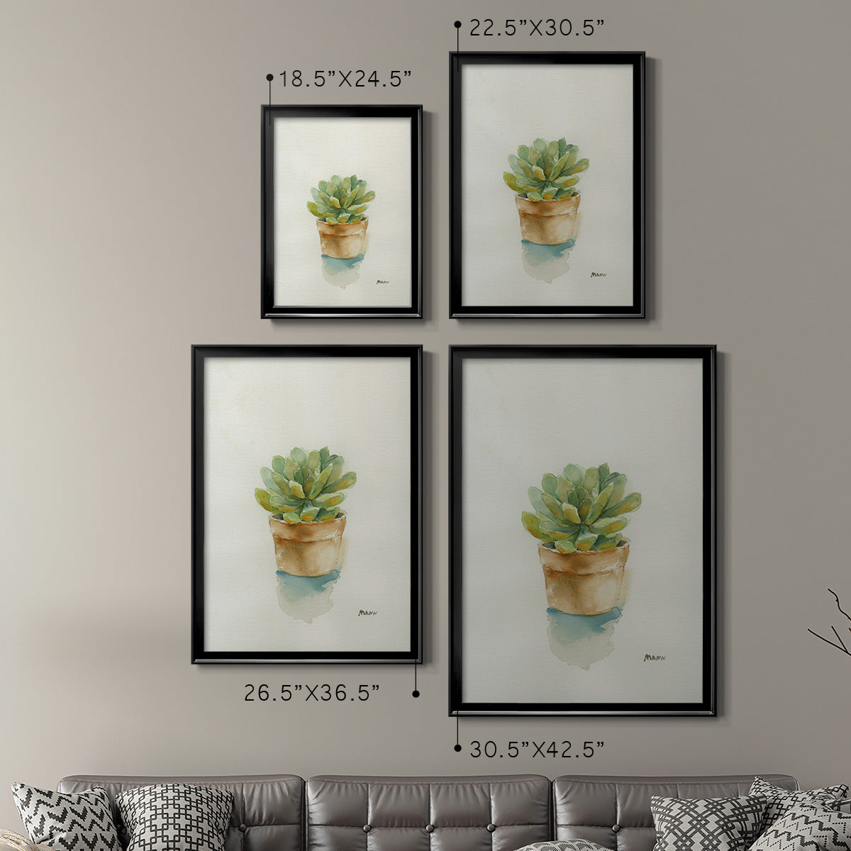 Succulent II - Modern Framed Canvas Print