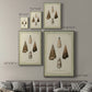 Bookplate Shells VI Premium Gallery Wrapped Canvas - Ready to Hang