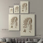 Sepia Ferns II - Canvas Art Print