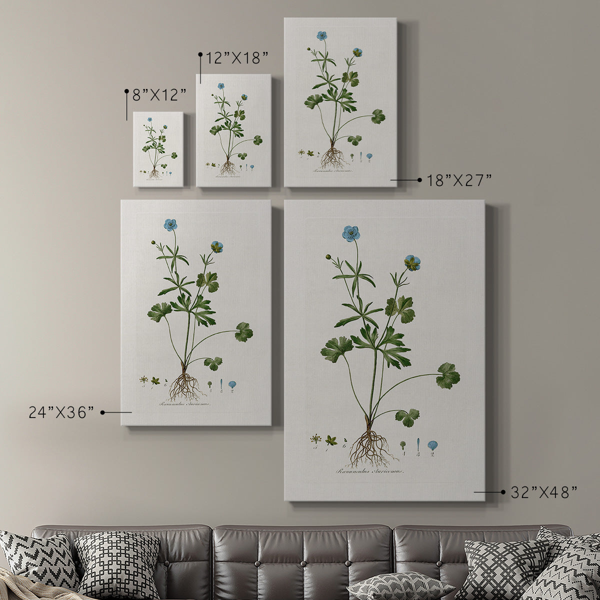 Buttercup Study - Canvas Art Print