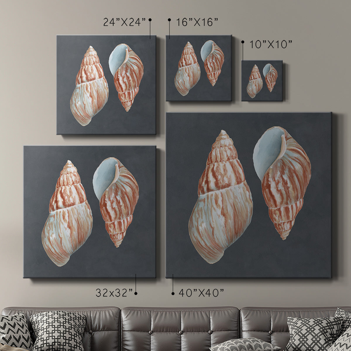 Shell on Slate V - Canvas Art Print