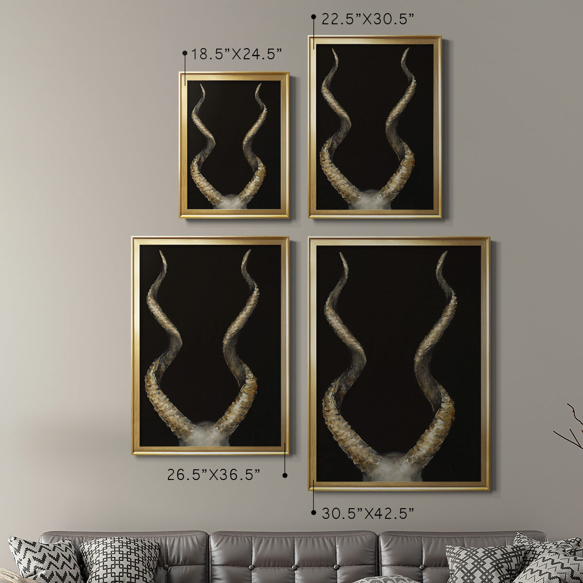 Spiral Antelope Horns -  Framed Canvas Print