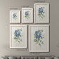 Farmhouse Periwinkle III - Premium Framed Canvas 2 Piece Set - Ready to Hang