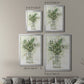 Delicate Greenery I - Modern Framed Canvas Print