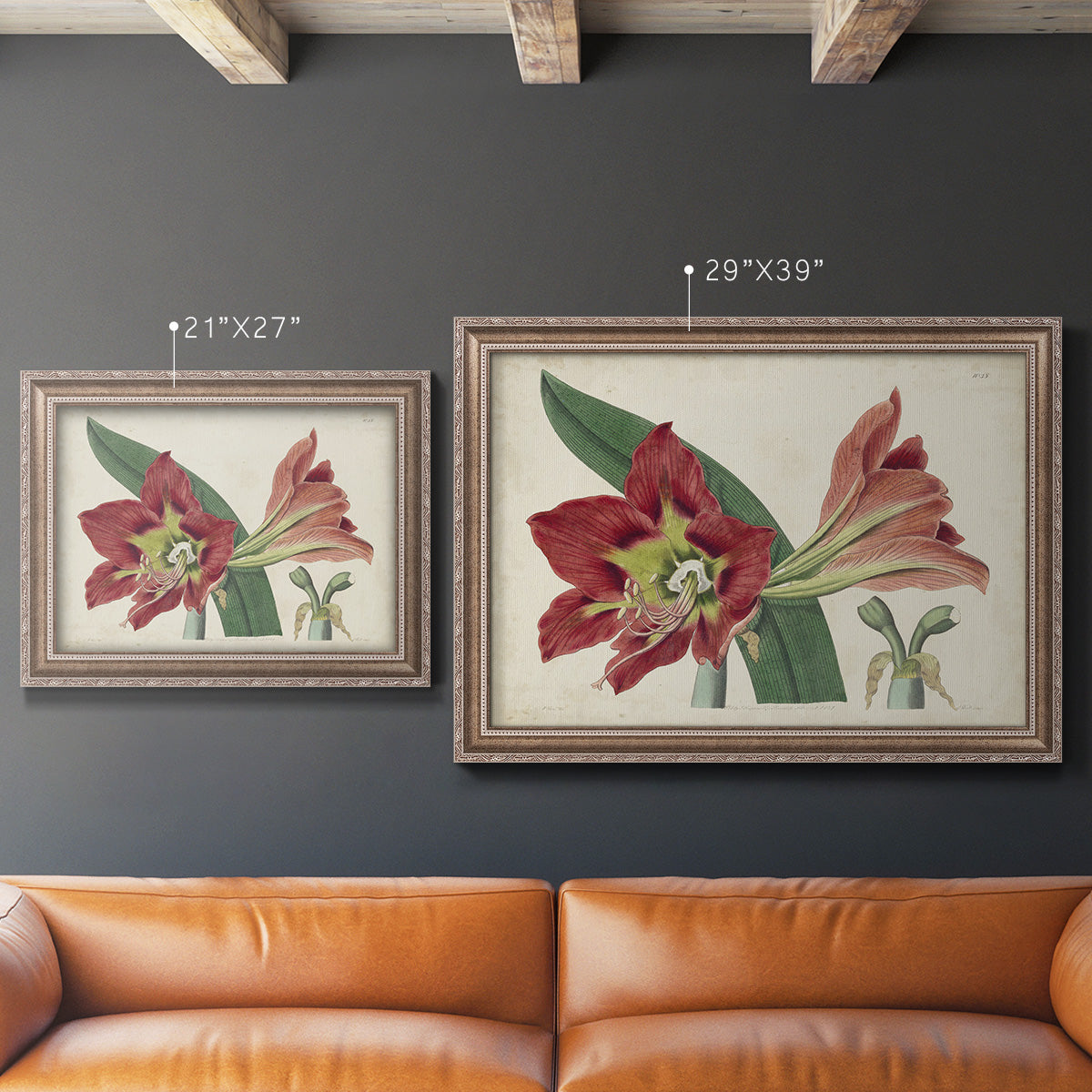 Amaryllis Splendor I Premium Framed Canvas- Ready to Hang