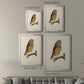 French Owls II - Modern Framed Canvas Print