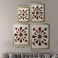 Spiral Shell Formation IV - Modern Framed Canvas Print