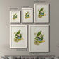 Lime & Cerulean Parrots I - Barnwood Framed Canvas Set