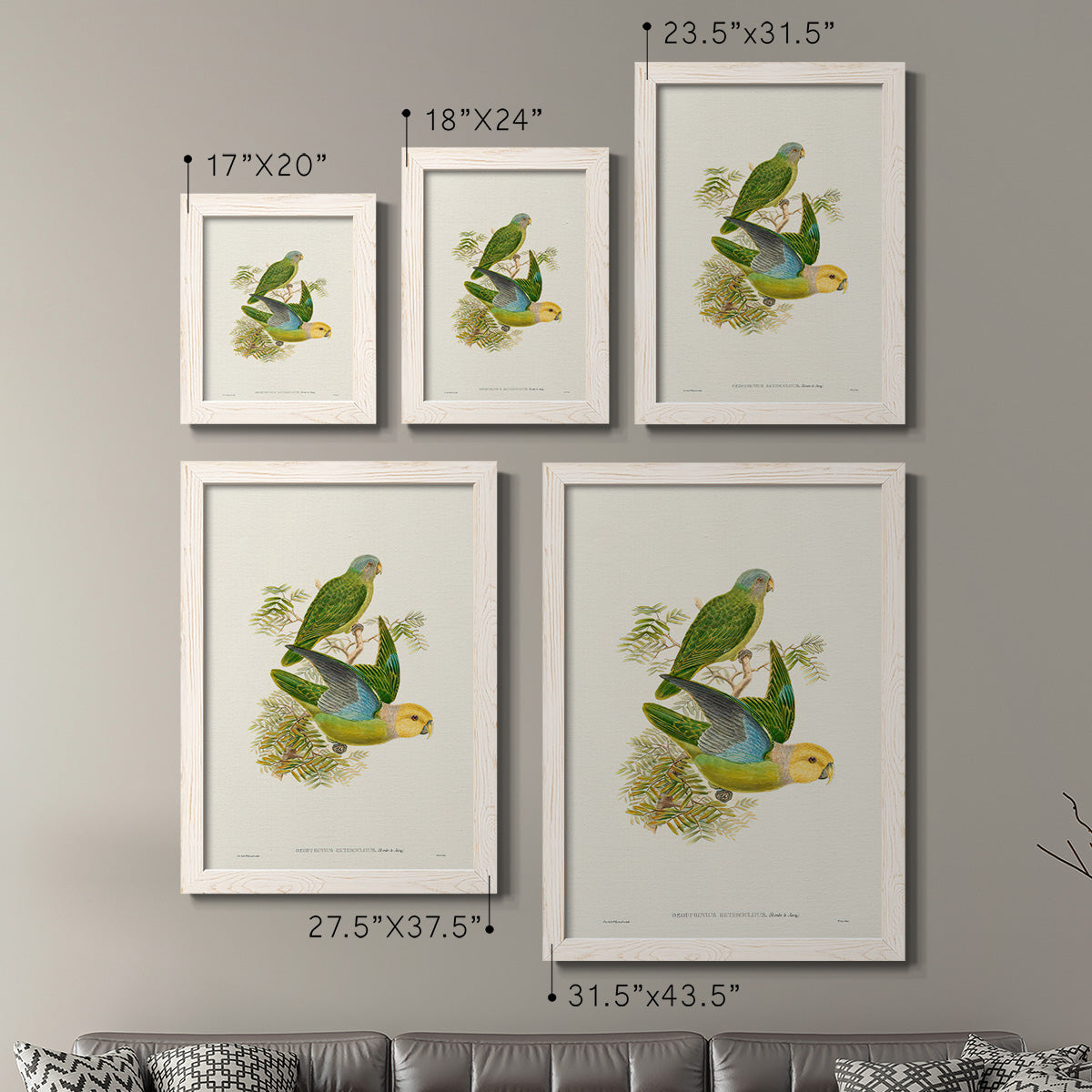 Lime & Cerulean Parrots I - Barnwood Framed Canvas Set